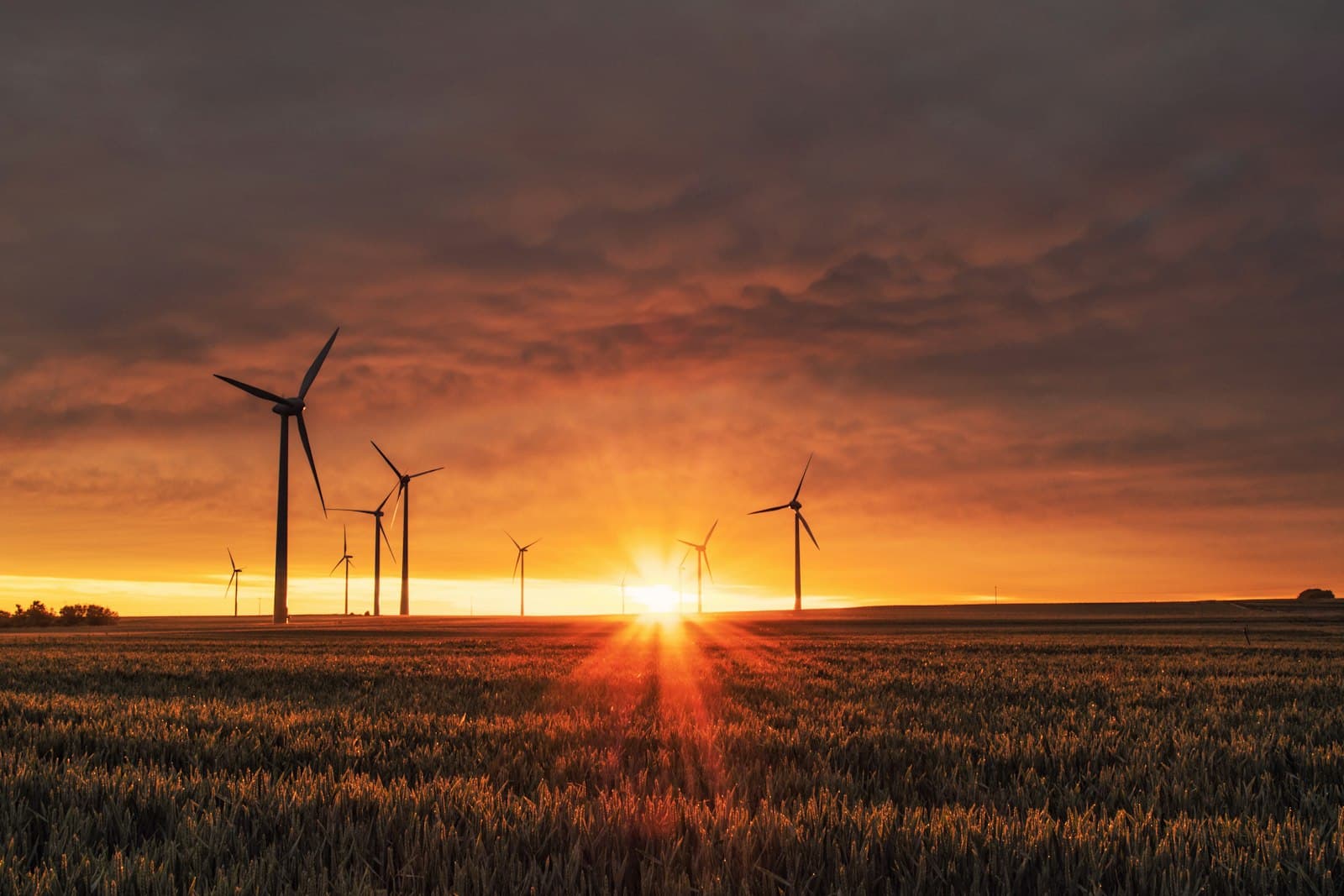 Oracle role design & remediation for Greenergy